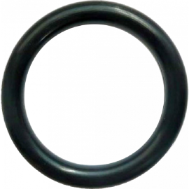 ORING D/S 655/9.8MM (31 )